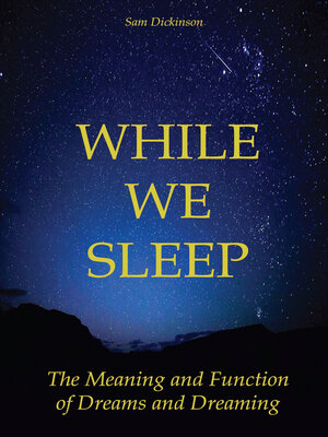 cover image of While we Sleep